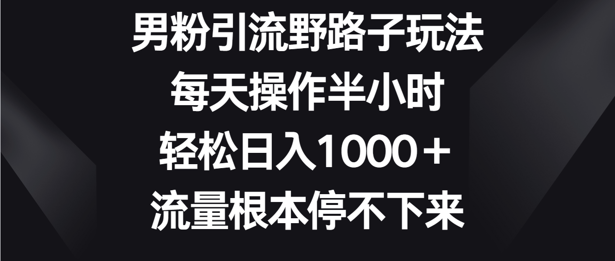 男粉引流野路子玩法，每天操作半小时轻松日入1000＋，流量根本停不下来-山河网创