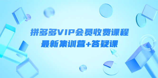 某社群·拼多多VIP会员收费课程，最新集训营+答疑课-价值3299元￼-山河网创