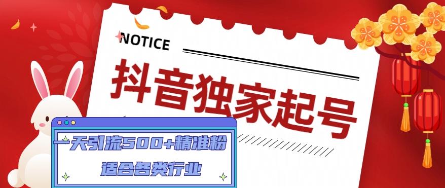 抖音独家起号，一天引流500+精准粉，适合各类行业（9节视频课）-山河网创