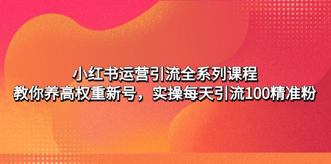 小红书运营引流全系列课程：教你养高权重新号，实操每天引流100精准粉-山河网创