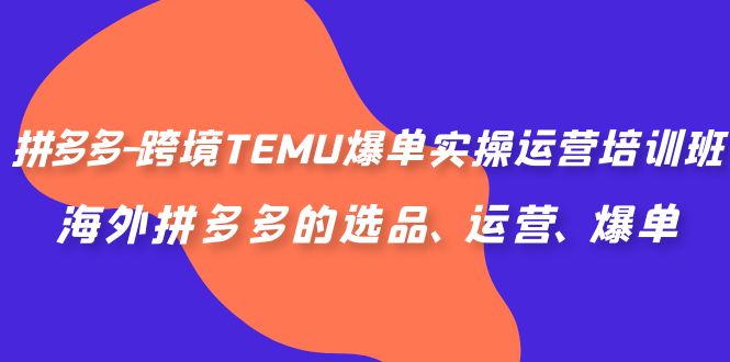 拼多多-跨境TEMU爆单实操运营培训班，海外拼多多的选品、运营、爆单-山河网创