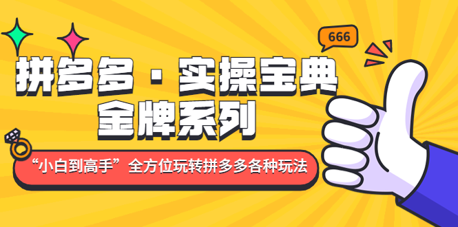 拼多多·实操宝典：金牌系列“小白到高手”带你全方位玩转拼多多各种玩法-山河网创