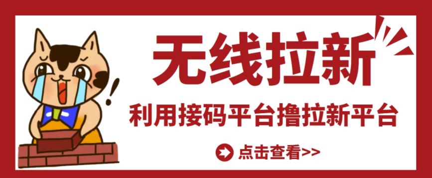 最新接码无限拉新项目，利用接码平台赚拉新平台差价，轻松日赚500+￼-山河网创