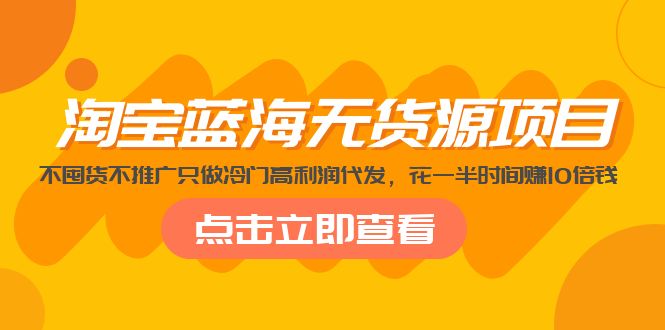 淘宝蓝海无货源项目，不囤货不推广只做冷门高利润代发，花一半时间赚10倍钱-山河网创