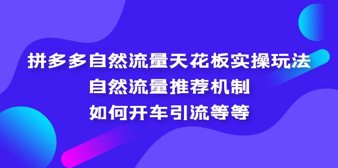 拼多多自然流量天花板实操玩法：自然流量推荐机制，如何开车引流等等-山河网创