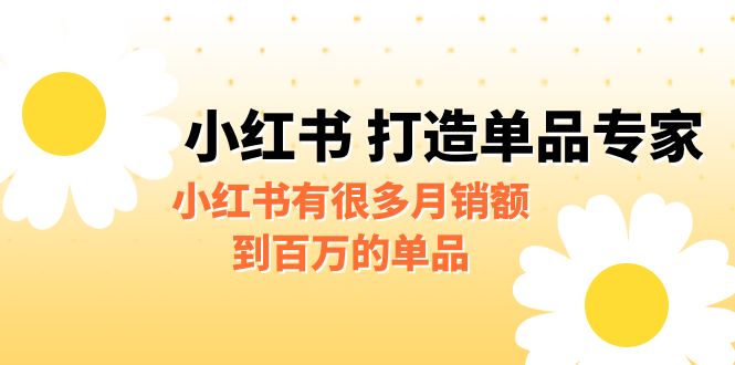 某公众号付费文章《小红书 打造单品专家》小红书有很多月销额到百万的单品-山河网创