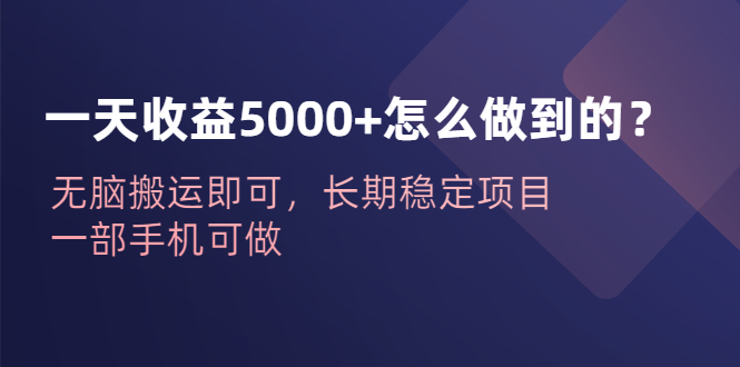 一天收益5000+怎么做到的？无脑搬运即可，长期稳定项目，一部手机可做-山河网创