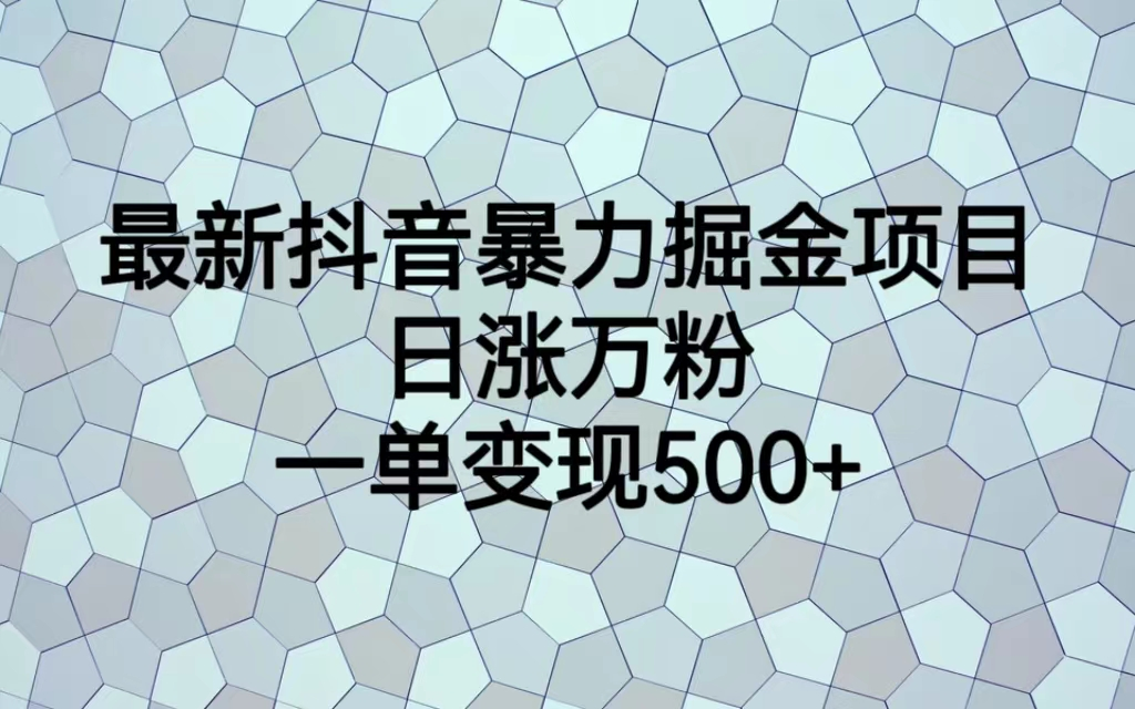 最火热的抖音暴力掘金项目，日涨万粉，多种变现方式，一单变现可达500+-山河网创