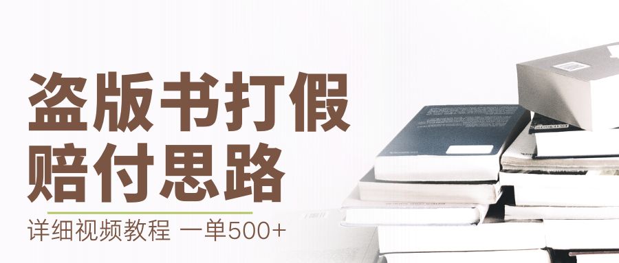 最新盗版书赔付打假项目，一单利润500+【详细玩法视频教程】-山河网创