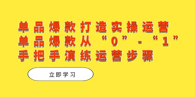 单品爆款打造实操运营，单品爆款从“0”-“1”手把手演练运营步骤-山河网创