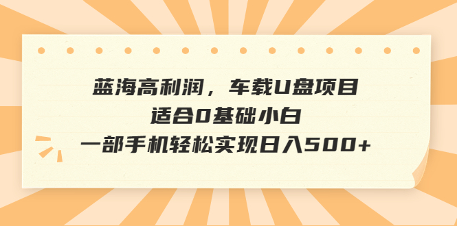 蓝海高利润，车载U盘项目，适合0基础小白，一部手机轻松实现日入500+-山河网创