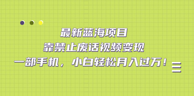 最新蓝海项目，靠禁止废话视频变现，一部手机，小白轻松月入过万！-山河网创