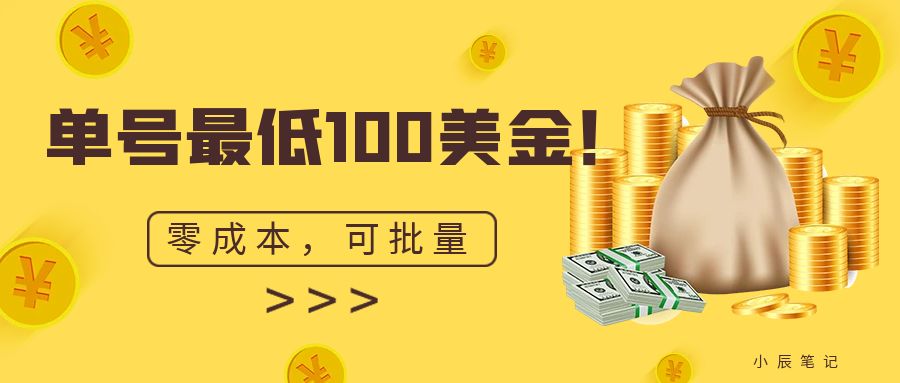 单号最低100美金，零成本，小白无脑操作。可复制，可扩大。-山河网创