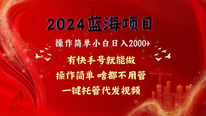 （10693期）2024蓝海项目，网盘拉新，操作简单小白日入2000+，一键托管代发视频，…-山河网创