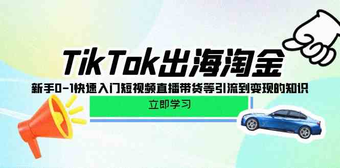 （10035期）TikTok-出海淘金，新手0-1快速入门短视频直播带货等引流到变现的知识-山河网创