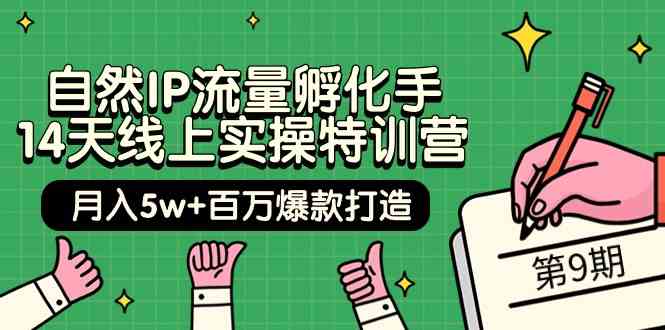 （9881期）自然IP流量孵化手 14天线上实操特训营【第9期】月入5w+百万爆款打造 (74节)-山河网创