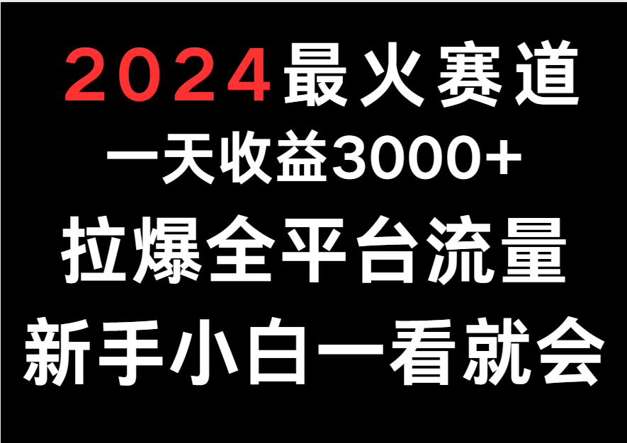 2024最火赛道，一天收一3000+.拉爆全平台流量，新手小白一看就会-山河网创