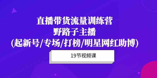 （10016期）直播带货流量特训营，野路子主播(起新号/专场/打榜/明星网红助博)19节课-山河网创