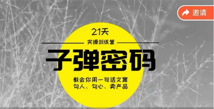 《子弹密码训练营》用一句话文案勾人勾心卖产品，21天学到顶尖文案大师策略和技巧-山河网创