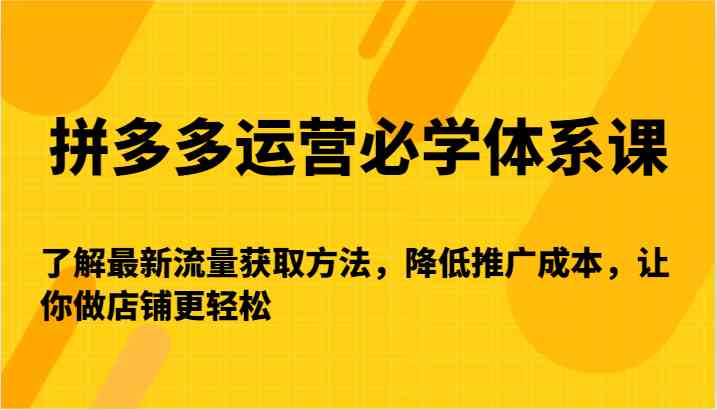 拼多多运营必学体系课-了解最新流量获取方法，降低推广成本，让你做店铺更轻松-山河网创