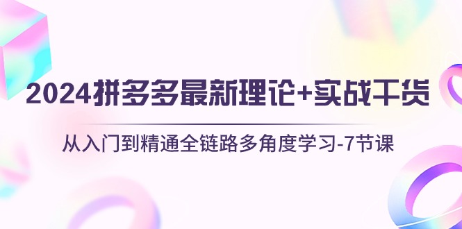 （10816期）2024拼多多 最新理论+实战干货，从入门到精通全链路多角度学习-7节课-山河网创