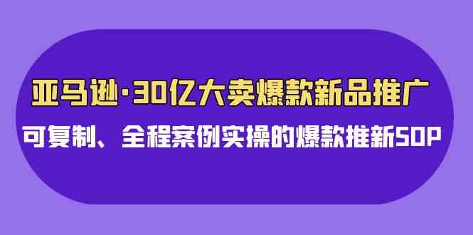 （9944期）亚马逊30亿·大卖爆款新品推广，可复制、全程案例实操的爆款推新SOP-山河网创