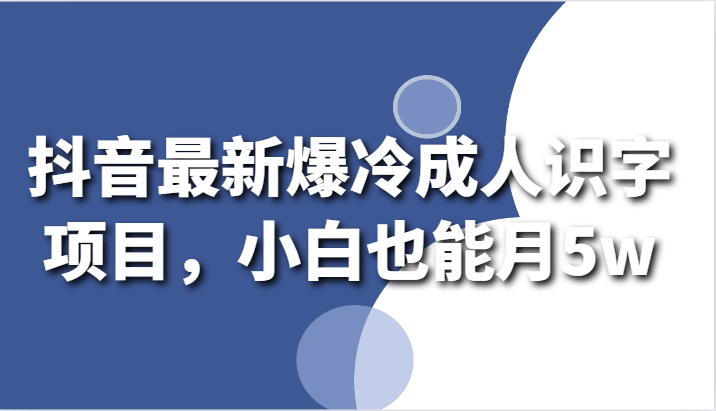 抖音最新爆冷成人识字项目，小白也能月5w-山河网创