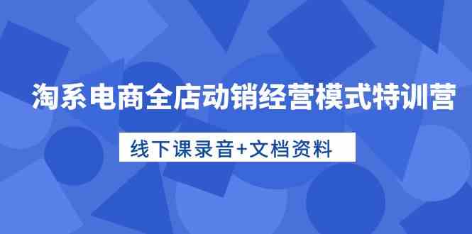 淘系电商全店动销经营模式特训营，线下课录音+文档资料-山河网创