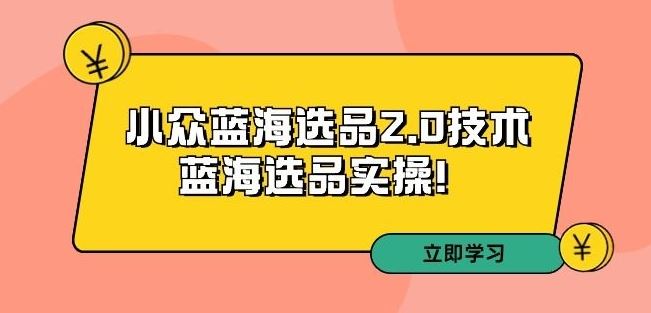 拼多多培训第33期：小众蓝海选品2.0技术-蓝海选品实操！-山河网创