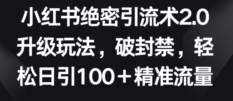 小红书绝密引流术2.0升级玩法，破封禁，轻松日引100+精准流量-山河网创