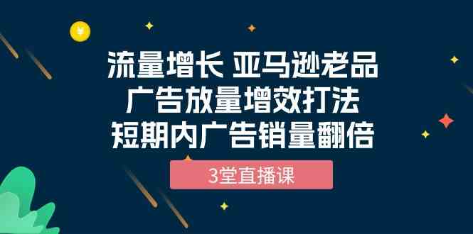 流量增长 亚马逊老品广告放量增效打法，短期内广告销量翻倍（3堂直播课）-山河网创