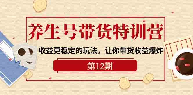 （10110期）养生号带货特训营【12期】收益更稳定的玩法，让你带货收益爆炸-9节直播课-山河网创