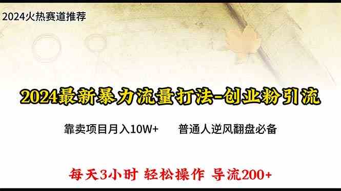 （10151期）2024年最新暴力流量打法，每日导入300+，靠卖项目月入10W+-山河网创