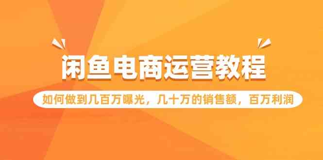 （9560期）闲鱼电商运营教程：如何做到几百万曝光，几十万的销售额，百万利润-山河网创