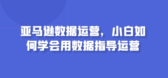 亚马逊数据运营，小白如何学会用数据指导运营-山河网创