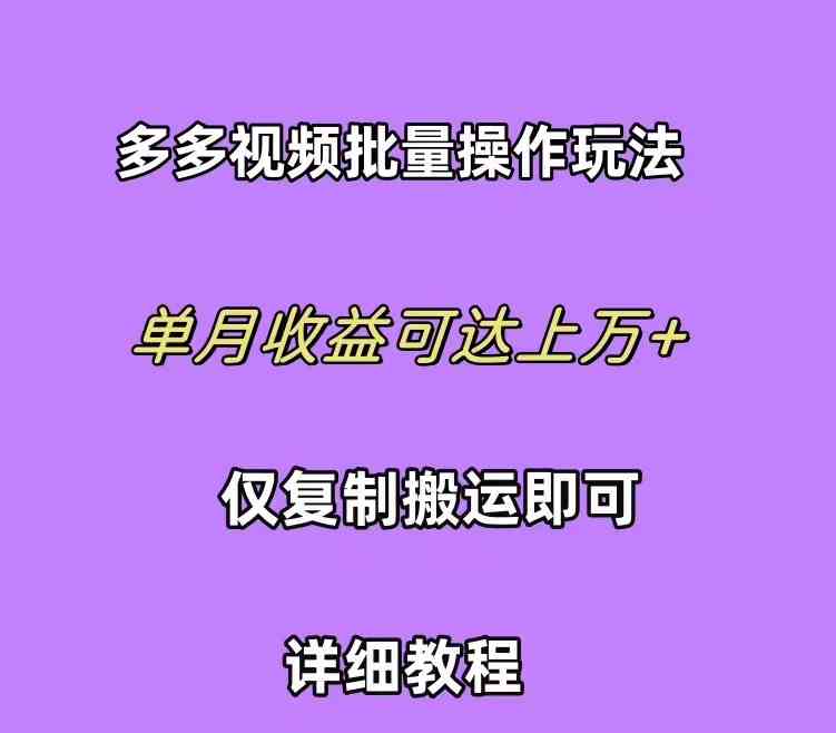 （10029期）拼多多视频带货快速过爆款选品教程 每天轻轻松松赚取三位数佣金 小白必…-山河网创