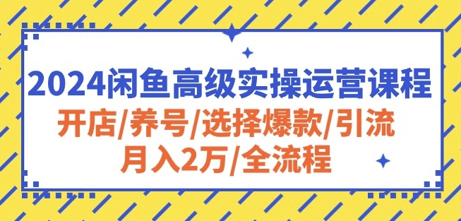 2024闲鱼高级实操运营课程：开店/养号/选择爆款/引流/月入2万/全流程-山河网创