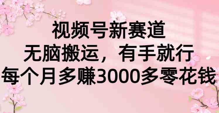 （9277期）视频号新赛道，无脑搬运，有手就行，每个月多赚3000多零花钱-山河网创