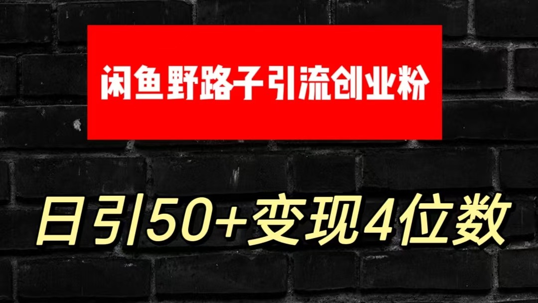 大眼闲鱼野路子引流创业粉，日引50+单日变现四位数-山河网创