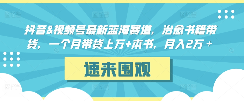 抖音&视频号最新蓝海赛道，治愈书籍带货，一个月带货上万+本书，月入2万＋-山河网创