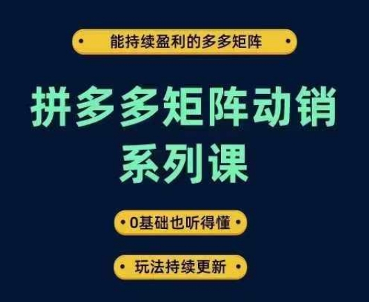 拼多多矩阵动销系列课，能持续盈利的多多矩阵，0基础也听得懂，玩法持续更新-山河网创