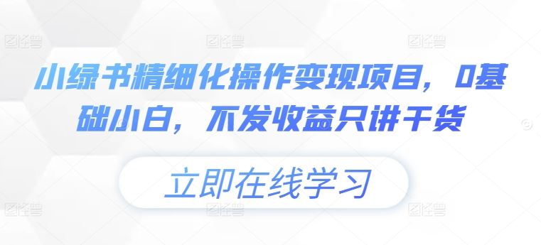 小绿书精细化操作变现项目，0基础小白，不发收益只讲干货-山河网创