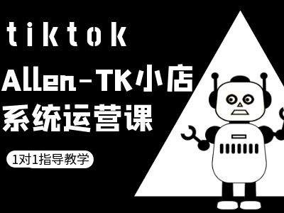 TK小店系统运营课-tiktok跨境电商教程-山河网创